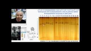 Endopeptidases et étude de la diversité génétique du palmier dattier  تنوع النخيل [upl. by Holden981]