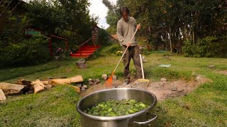 The Magic Huachuma Cactus 🌵 How to Prepare it and Its Psychedelic History  San Pedro [upl. by Karla]