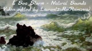 Seascape Paintings NATURE SOUNDSSEA STORM amp MOZART REQUIEM [upl. by Ralyt]