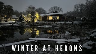 Winter at Herons Bonsai [upl. by Iralav]