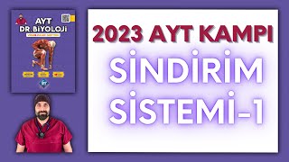 Sindirim Sistemi1 AYT Biyoloji Kampı Konu Anlatımı 11Sınıf 2024 Tayfa [upl. by Relyks581]