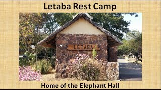 Letaba Rest Camp Kruger National Park South Africa [upl. by Manlove677]