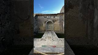 VESUVIUS Herculaneum Ruins Naples Italy SHORT travel italy vesuvius naples volcano amalfi [upl. by Sybil]