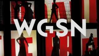 WGSN  What we do [upl. by Norac284]