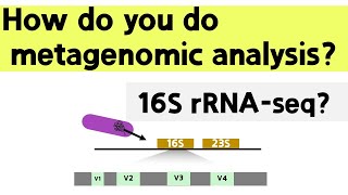 ENG How does 16S rRNAseq work [upl. by Sami]