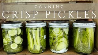 Canning CRISP Dill Pickles  Water Bath Canning [upl. by Anailil]