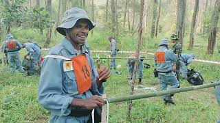 PENDIDIKAN PT PLN ANGKATAN 81 TAHUN 2023 [upl. by Rehpotsirhk865]