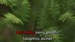 Div pļaviņas es nopļāvu KARAOKE [upl. by Attelrac]