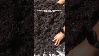 How to Revitalize Potting Soil Easy Tips for Healthier Plants [upl. by Nyraf260]