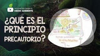 ¿Qué es el Principio Precautorio 🌳⚠️ [upl. by Negaet556]