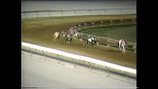 1988 Devonport Cup  Nikki Ding 8 [upl. by Doralin]