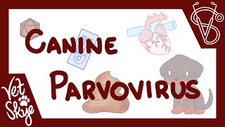 Canine Parvovirus  causes pathophysiology clinical signs diagnosis treatment prevention [upl. by Ezarra]