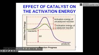 Effect of Catalysts on Activation Energy [upl. by Amata]