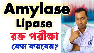 Amylase Lipase Blood test  Amylase Lipase পরীক্ষা কেন করবেন  Amylase Lipase normal range [upl. by Surtemed]