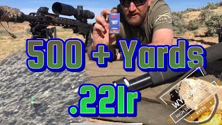 22lr 500  Yards [upl. by Adnolohs945]