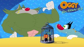 Oggy and the Cockroaches  Jack to the rescue SEASON 7 BEST CARTOON COLLECTION  Episodes in HD [upl. by Nahsed]