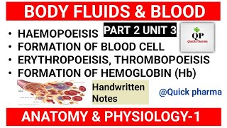 Hematopoiesis  Formation of Blood  Formation of Hemoglobin  Part 2 Unit 3  Anatomy amp Physiology [upl. by Ennairol]