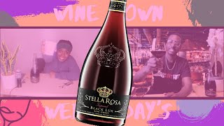 Stella Rosa Black Lux Wine Review  Wine Down Wednesdays [upl. by O'Connell]