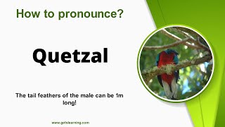 How to pronounce Quetzal in English correctly [upl. by Lleryd]