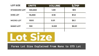 forex lot size explained  Use Position Size Calculator  Forexbee [upl. by Constancia151]