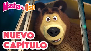 Masha y el Oso 👱‍♀️🐻 Nuevo capítulo 📸 🐻 Masha y el Oso ¡SONRÍAN 👱🏻‍♀️💐 🎬 Сolección 😎 [upl. by Aneger]