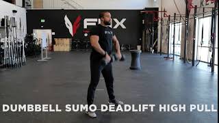 Dumbbell Sumo Deadlift High Pull [upl. by Ytsirhc]