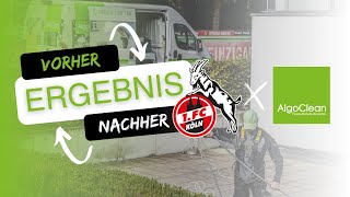 Fassadenreinigung beim 1 FC Köln  Algoclean Fassadenreinigung [upl. by Meurer]