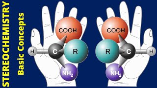 Inversion of Stereochemistry  Chair Conformations and Fischer Projections [upl. by Anelegna389]