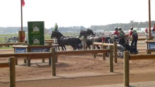 Sandmann Christoph GER CH M A4 Alltech FEI WEG Caen Normandy FRA 2014 Marathon O 1 06 09 2014 [upl. by Nuahsyd690]