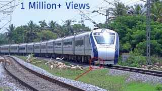 Live Train accident  VANDE BHARAT EXPRESS Run Over Poor Sheep Crossing a Railway Line at Hispeed 🚄 [upl. by Haiacim]