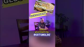 Así funciona la produccion de glucosamina lecitina youtubeshorts shorts salud saludable [upl. by Mercola156]