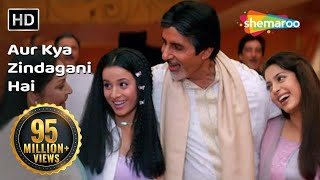 Aur Kya Zindagani Hai I HD  Ek Rishtaa The Bond Of Love Song  Amitabh Bachchan  Rakhee [upl. by Noryahs393]