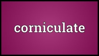 Corniculate Meaning [upl. by Laetitia]