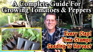 A Complete Guide for Growing Tomatoes amp Peppers  Seed to Harvest Every StepTable of Contents [upl. by Barrington]