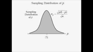 Business Statistics lecture 7  Sampling Distribution [upl. by Htesil]