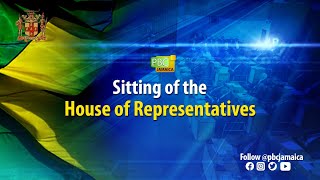 JISTV  Sitting of the House of Representatives [upl. by Naima]