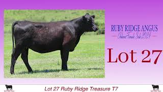 Lot 27 Ruby Ridge Treasure T7 [upl. by Tnarud]