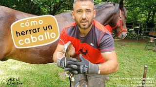 ► Como herrar un caballo 🐴 por los herradores Fernando Pérez Castañeda y Javier Buenaga [upl. by Ferwerda]