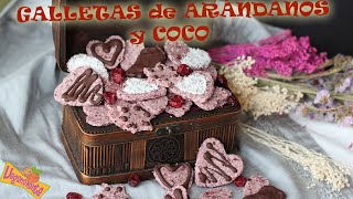 RECETA de GALLETAS de ARÁNDANOS y COCO Crudiveganas  Veganamente [upl. by Meurer]