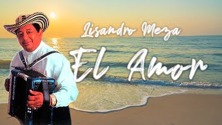 El Amor  Lisandro Meza  Video Lyric [upl. by Eanahs]