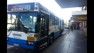 Transport for NSW Vlog No190 Campsie Buses [upl. by Milzie]