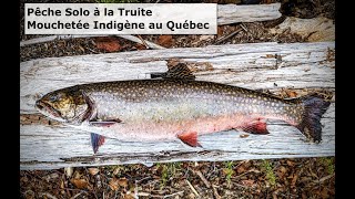 Pêche à la truite mouchetée indigène au Nord du Québec  Brook trout fishing [upl. by Zina191]