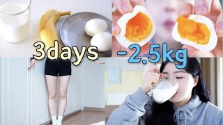 Diet｜🔥3일동안 25kg｜단기간 다이어트 feat전효성님 다이어트 [upl. by Pearlman]