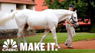 Americas Most Valuable Stallion Making Over 35 Million In Retirement  CNBC Make It [upl. by Shafer]