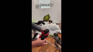 How Many Hours a Day Can a Dog Be in a Wheelchair [upl. by Einahpet]