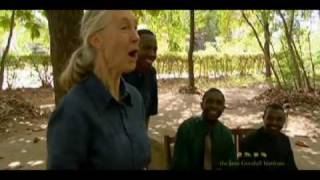 Jane Goodalls Roots amp Shoots [upl. by Yleve416]