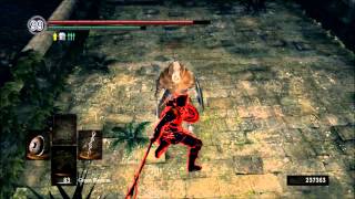 Dark Souls Weapon Showcase The Moonlight Butterfly Horn [upl. by Niliram671]