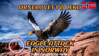 ØRNEROVET PÅ LEKA  En sann historie om en unge som ble tatt av en Havørn eagleattacks eagles [upl. by Llednor]