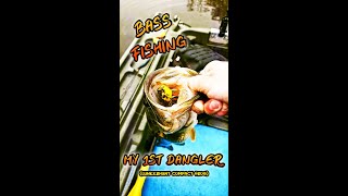 BASS FISHING  My 1st Dangler Lunkerhunt Compact Frog [upl. by Sion198]