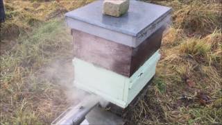 Oxalic acid vaporizer for treating Varroa Mite [upl. by Tracay]